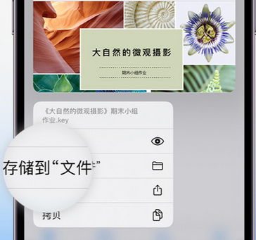 梅县apple维修中心分享iPhone文件应用中存储和找到下载文件