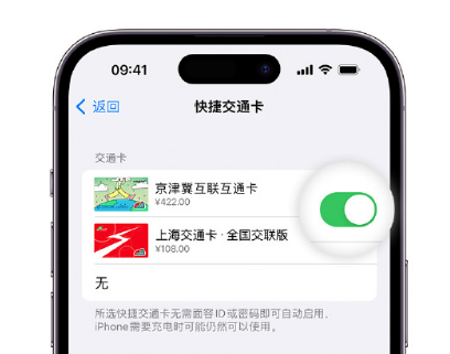 梅县apple维修点分享iPhone上更换Apple Pay快捷交通卡手绘卡面 