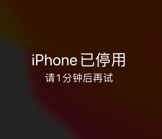 梅县苹果手机维修分享:iPhone 显示“不可用”或“已停用”怎么办？还能保留数据吗？ 