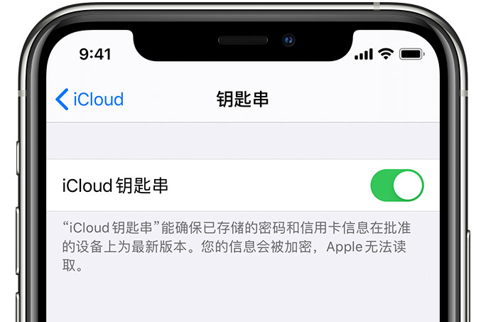 梅县苹果手机维修分享在 iPhone 上开启 iCloud 钥匙串之后会储存哪些信息 