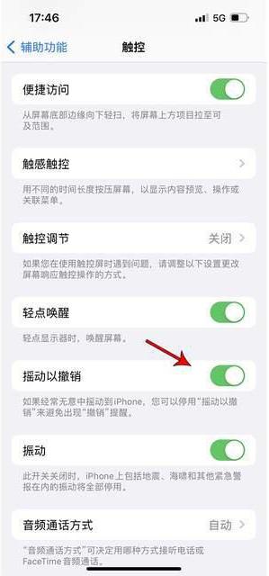 梅县苹果手机维修分享iPhone手机如何设置摇一摇删除文字 