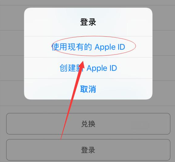 梅县苹果手机维修分享两台iPhone设备可以同时登录一个Apple ID吗 