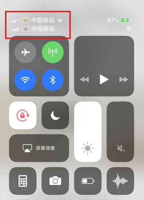 梅县苹果手机维修分享为 iPhone 12 双卡设置标签 